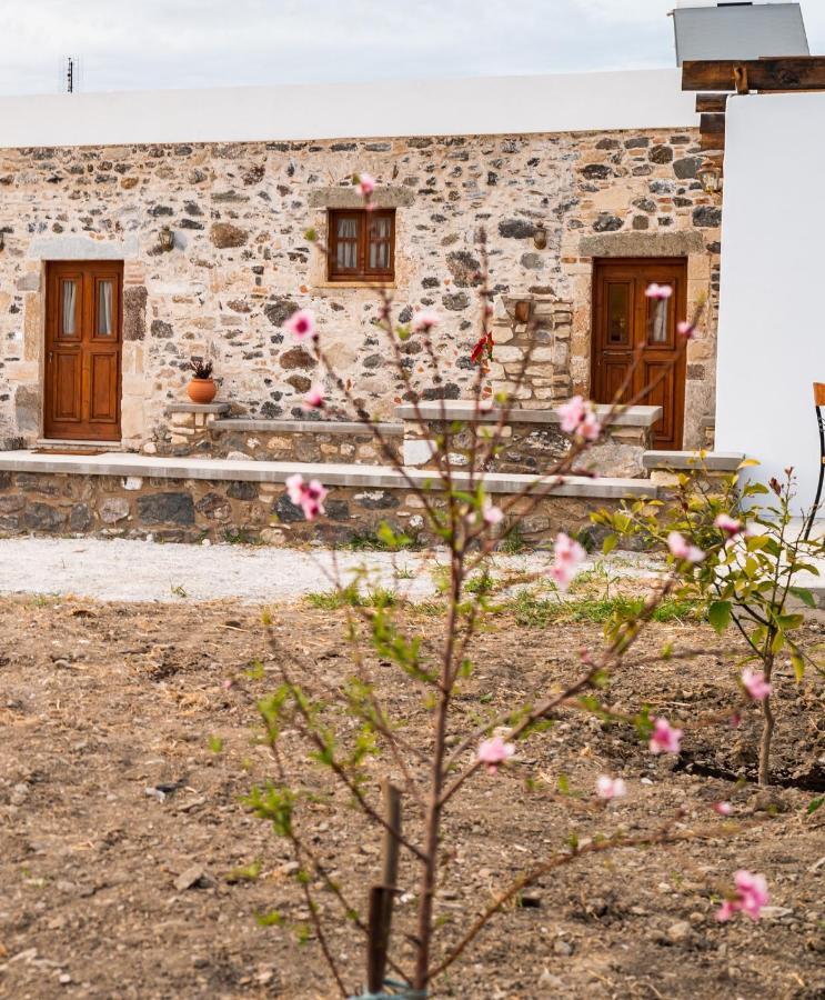 Paradisi Stone House بلدة كوس المظهر الخارجي الصورة